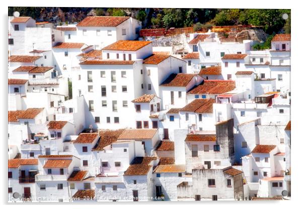 Traditional white hillside houses in Casares, Mala Acrylic by Raymond Davis