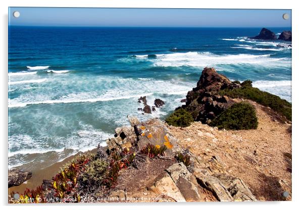 Ocean Waves Acrylic by Tony Purbrook