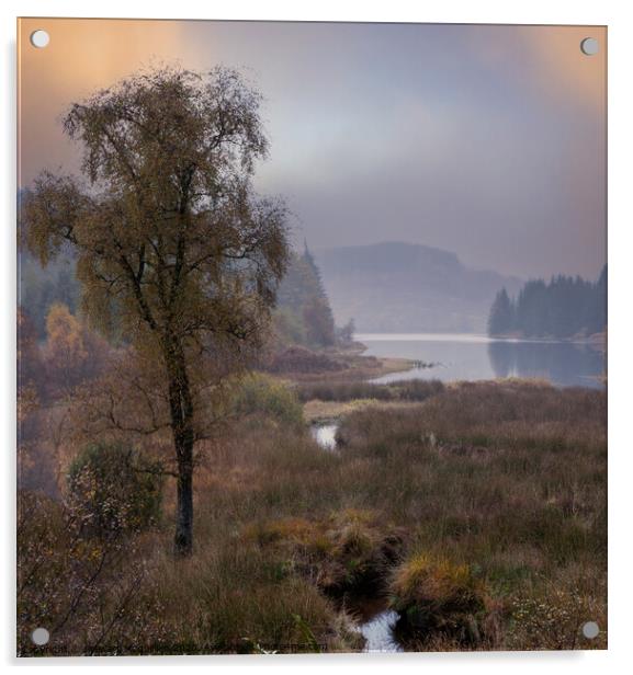 Misty Scottish Loch Acrylic by Stewart Mcquillian