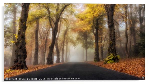 Foggy Autumn Drive Acrylic by Craig Doogan