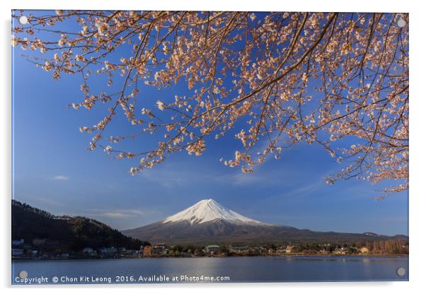 The sacred mountain - Mt. Fuji at Japan Acrylic by Chon Kit Leong
