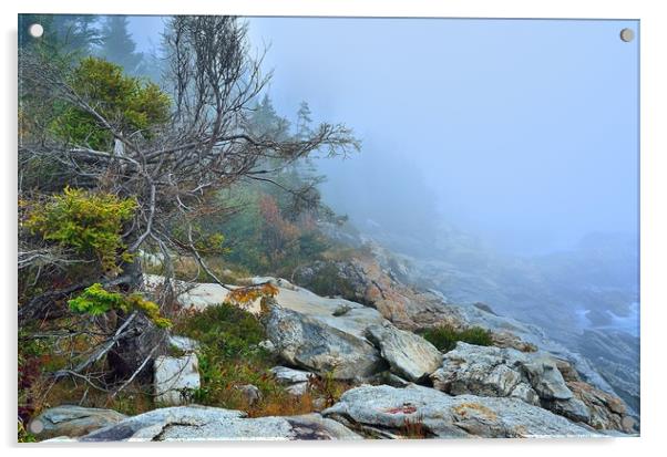 "Foggy Coast II" Acrylic by Jerome Cosyn