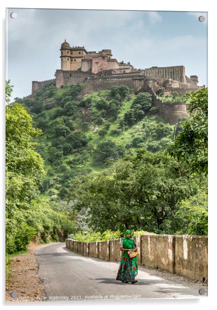 Kumbhalgarh Fort Acrylic by Peter Walmsley