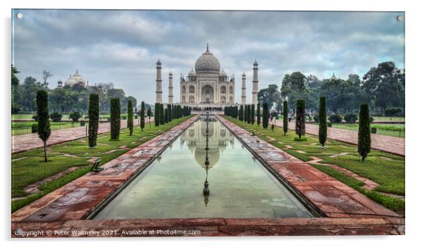 The Taj Mahal Acrylic by Peter Walmsley