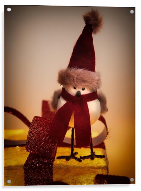 Christmas Robin Acrylic by Chris Sweet