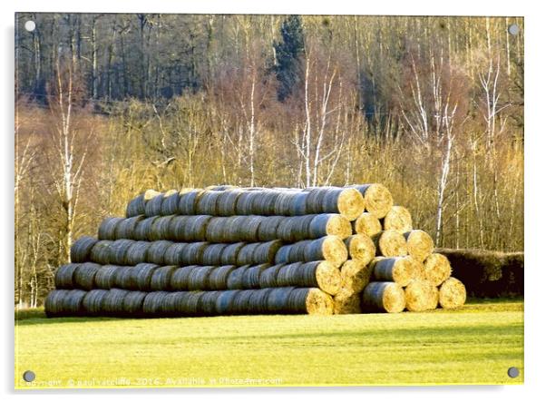 hay bales  Acrylic by paul ratcliffe