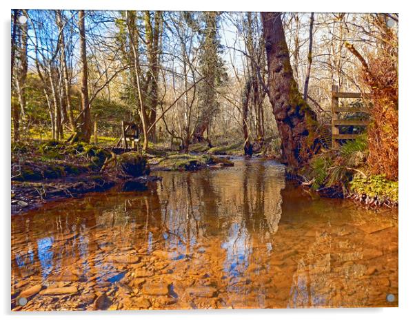 woodland stream Acrylic by paul ratcliffe