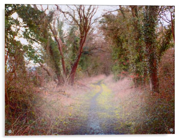 disused rail line Acrylic by paul ratcliffe