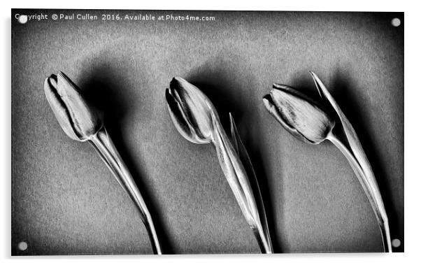 Three Tulips - monochrome Acrylic by Paul Cullen