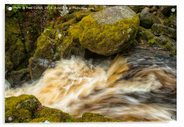 Aira Force Acrylic by Paul Cullen