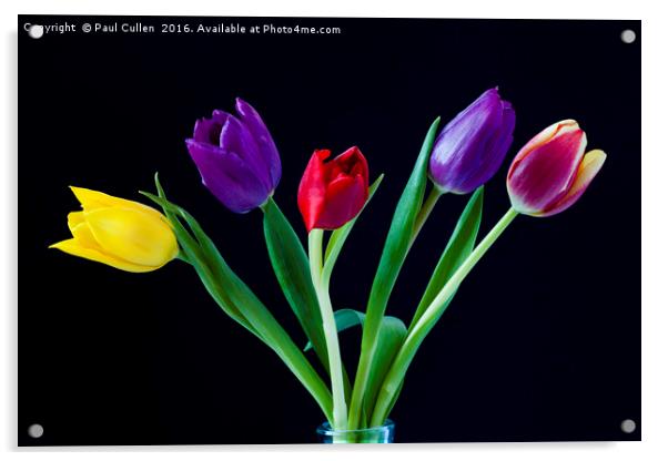 Five colourful Tulips Acrylic by Paul Cullen