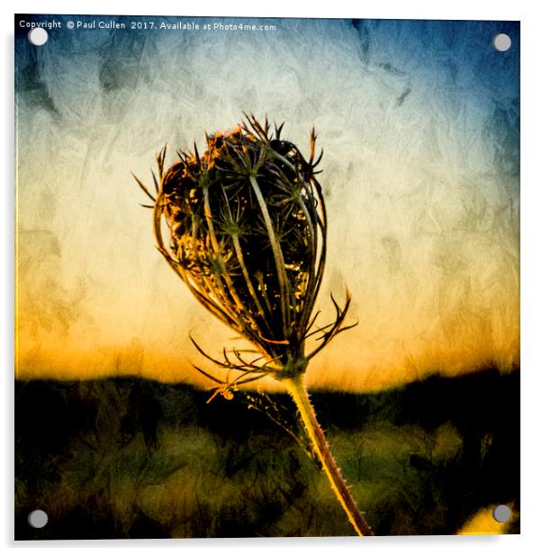 Seedhead. Acrylic by Paul Cullen