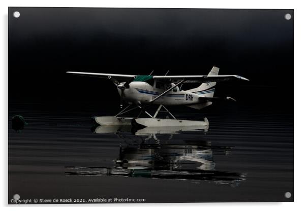 Plane Sailing 1 Acrylic by Steve de Roeck
