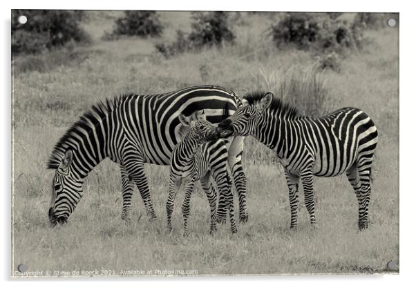 Zebra family. Acrylic by Steve de Roeck