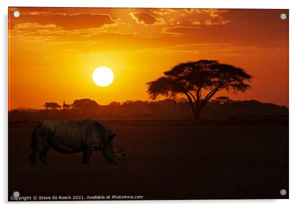 White Rhino At Sunset Acrylic by Steve de Roeck