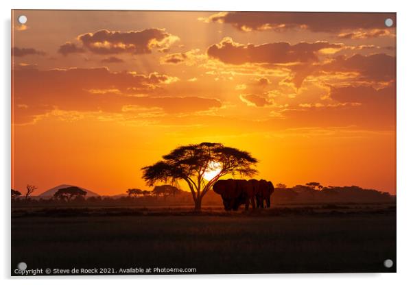 Elephants At Sunset Acrylic by Steve de Roeck