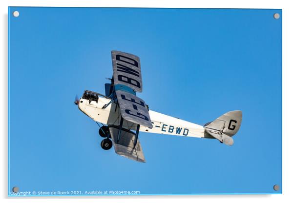 de Havilland DH 60X Hermes Moth Acrylic by Steve de Roeck