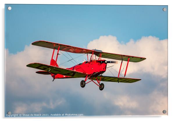 de Havilland DH82a Tiger Moth Acrylic by Steve de Roeck