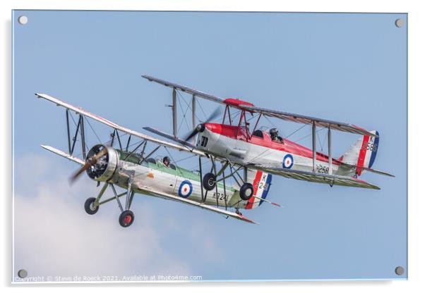 de Havilland Tiger Moth Acrylic by Steve de Roeck