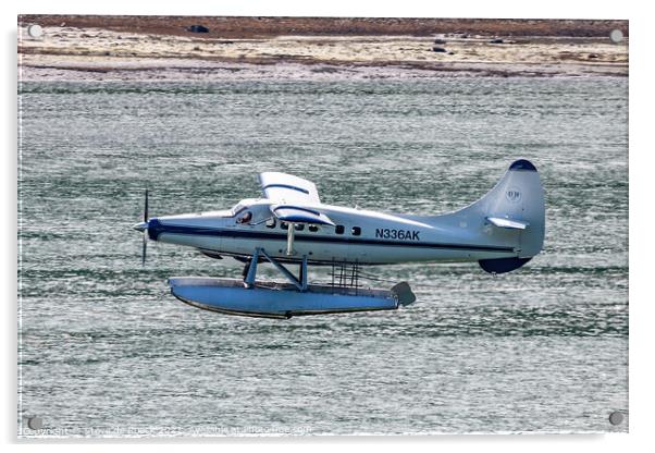 De Havilland Canada DHC-2 Beaver turboprop float plane Acrylic by Steve de Roeck