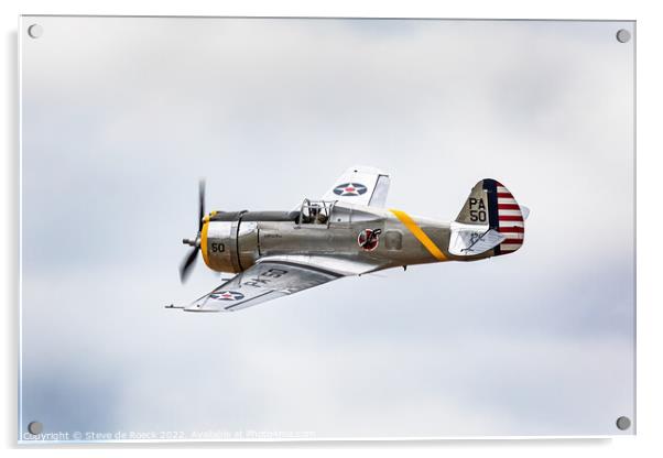 Curtiss P36 Hawk Acrylic by Steve de Roeck