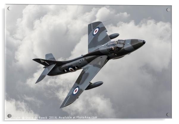 Hawker Hunter Acrylic by Steve de Roeck