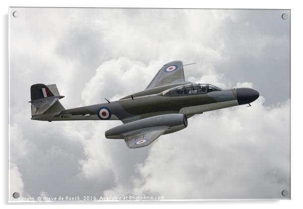 Gloster Meteor NF11 Acrylic by Steve de Roeck