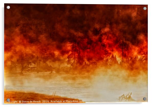 Fireburst Acrylic by Steve de Roeck