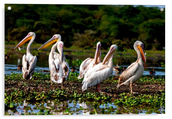 Pelican Party Acrylic by Steve de Roeck