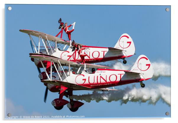 Team Guinot Wing Walkers Acrylic by Steve de Roeck