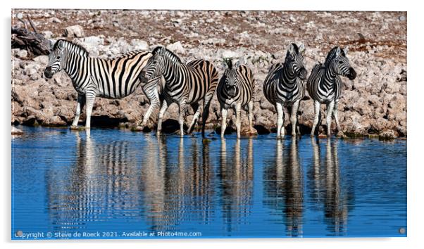 Burchells zebra Equus quagga burchellii Acrylic by Steve de Roeck