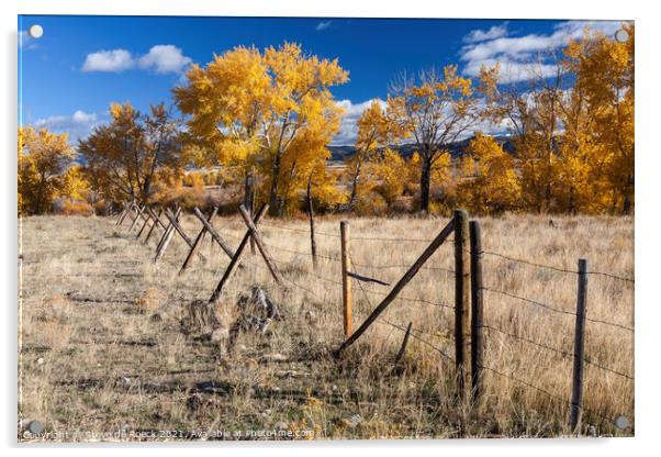 Yellow Trees and Montana Fences Acrylic by Steve de Roeck