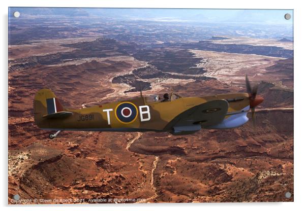 Spitfire LFVc T-B Acrylic by Steve de Roeck