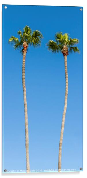 Idyllic Palm trees | upright panoramic view Acrylic by Melanie Viola