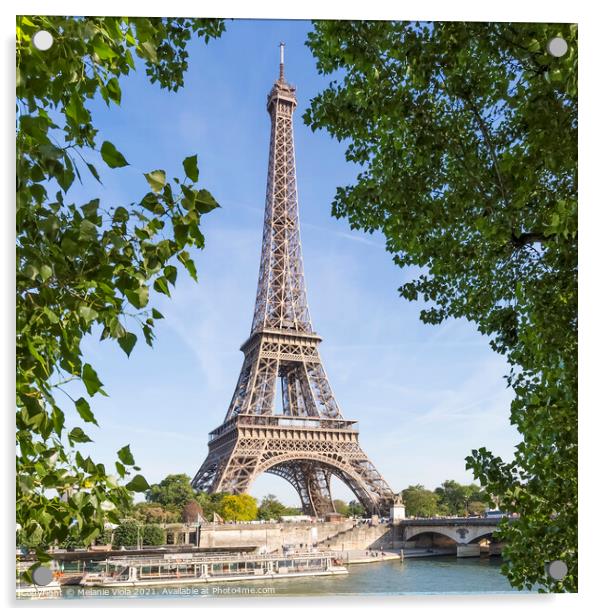 PARIS Eiffel Tower & River Seine  Acrylic by Melanie Viola