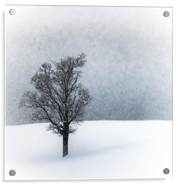 LONELY TREE Idyllic Winterlandscape Acrylic by Melanie Viola
