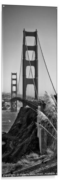 Golden Gate Bridge | Panorama Acrylic by Melanie Viola