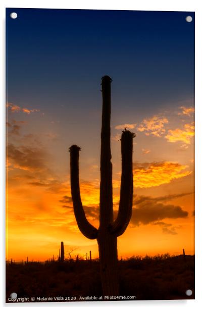 SAGUARO NATIONAL PARK Bright Sunset Acrylic by Melanie Viola