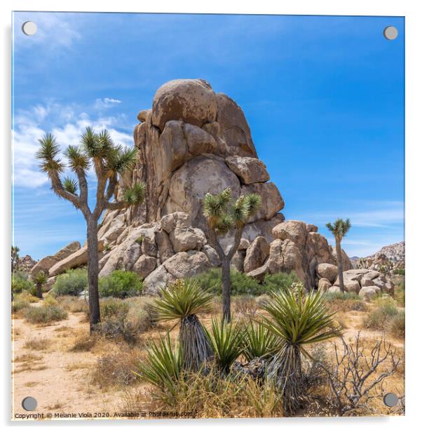Roadside Rock, Joshua Tree National Park Acrylic by Melanie Viola