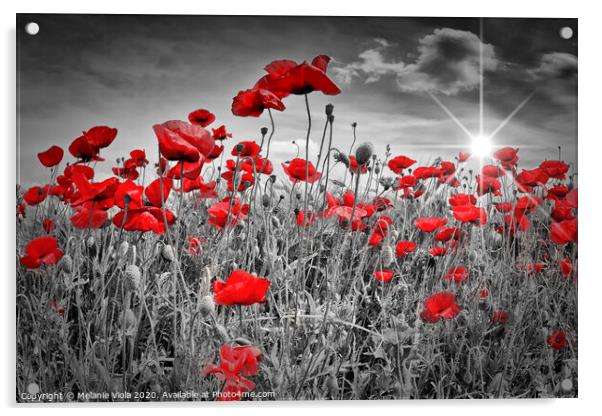 Idyllic Field of Poppies with Sun Acrylic by Melanie Viola