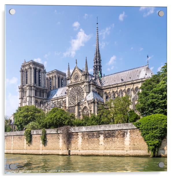 PARIS Cathedral Notre-Dame  Acrylic by Melanie Viola