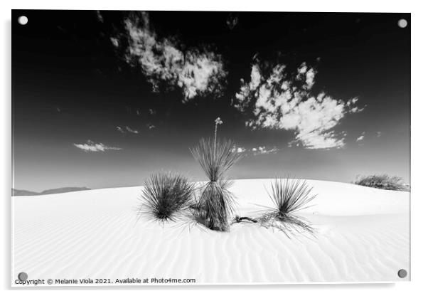 White Sands Impression | Monochrome Acrylic by Melanie Viola