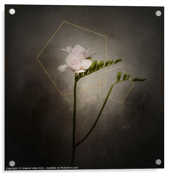 Graceful flower - Freesia | vintage style gold  Acrylic by Melanie Viola