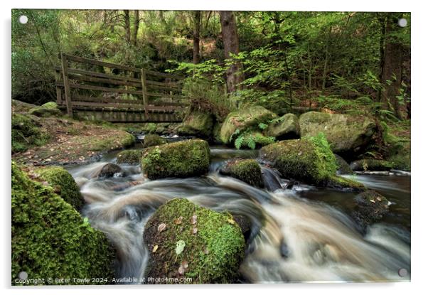 Wyming Brook Bridge Acrylic by Peter Towle