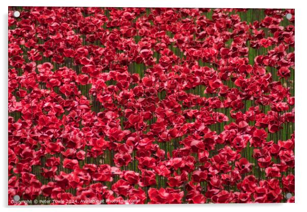 Poppies from the Tower of London Acrylic by Peter Towle