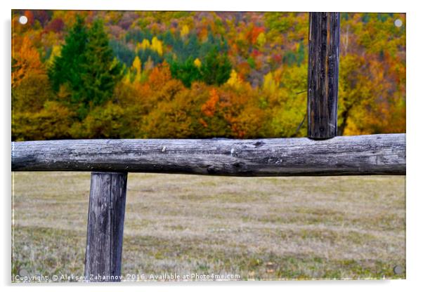 Autumn colors in a frame Acrylic by Aleksey Zaharinov