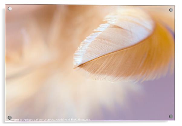 Dream Feather Acrylic by Aleksey Zaharinov