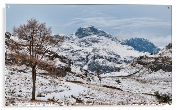 The Langdale Pikes Acrylic by Rob Mcewen