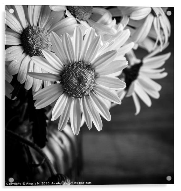 Oxey Daisies black and white Acrylic by Angela H