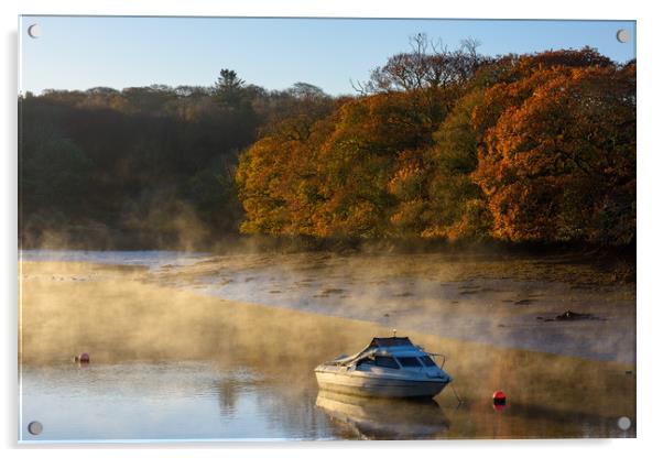 Autumn dawn mooring Coombe Acrylic by Michael Brookes